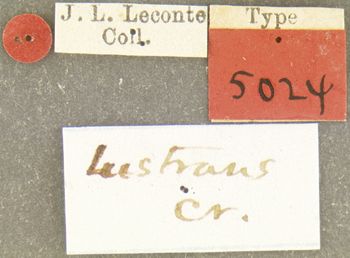 Media type: image;   Entomology 5024 Aspect: labels